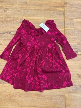 NWT GAP Girls' Raspberry Floral Ruffled Collar Dress